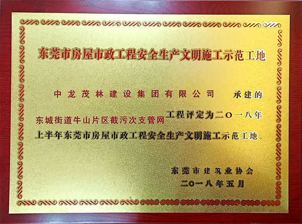 東城街道牛山片區截污次支管網工程評定為2